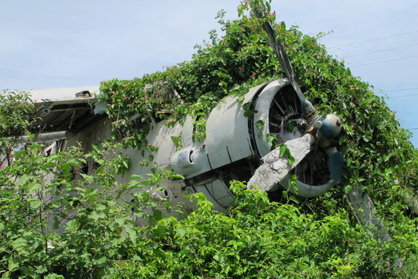 alua-446.jpg